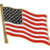 Egpull<10 American Waving Flag Label Pins - MADE IN USA - High Quality US Patriotic Set - Miniature Marvels: Airplane Models & Painted Dice