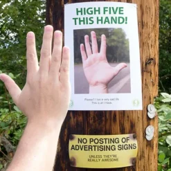 Egpull<23 Page Hilarious Poster Signs - Prank your neighborhood - Funny Gag Joke - Miniature Marvels: Airplane Models & Painted Dice