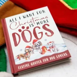 Egpull<"All I Want For Christmas Is More Dogs" Hardcover Book Gift for Dog Lovers! - Miniature Marvels: Airplane Models & Painted Dice