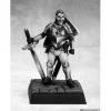 Miniature<Andoran Steel Falcon: Pathfinder RPR 60119 - Miniature Marvels: Airplane Models & Painted Dice