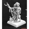 Miniature<Andowyn Thrushmoor: Dark Heaven Legends RPR 03786 - Miniature Marvels: Airplane Models & Painted Dice