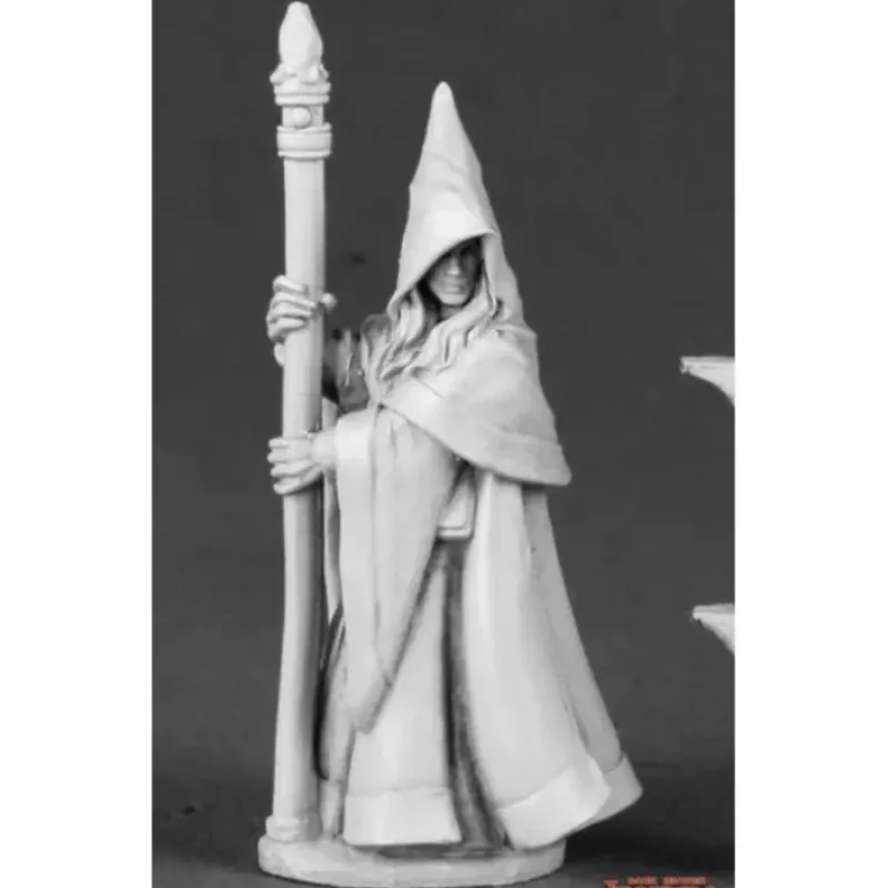 Miniature<Anirion, Wood Elf Wizard: Dark Heaven Legends RPR 03491 - Miniature Marvels: Airplane Models & Painted Dice