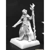 Miniature<Aravashniel, Elf Wizard: Pathfinder RPR 60139 - Miniature Marvels: Airplane Models & Painted Dice