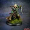Miniature<Aravir, Elf Ranger: Dark Heaven Legends RPR 03763 - Miniature Marvels: Airplane Models & Painted Dice
