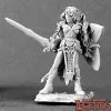 Miniature<Aviriel Tellerion, Elf Paladin: Dark Heaven Legends RPR 03072 - Miniature Marvels: Airplane Models & Painted Dice