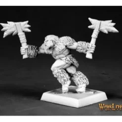 Miniature<Barbarian Berserker Of Icingstead: Warlord RPR 14610 - Miniature Marvels: Airplane Models & Painted Dice
