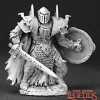 Miniature<Benedikt Hellhorn, Evil Warrior: Dark Heaven Legends RPR 03200 - Miniature Marvels: Airplane Models & Painted Dice