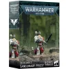 Shop All*BLOOD ANGELS: SANGUINARY PRIEST - Miniature Marvels: Airplane Models & Painted Dice