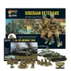 Shop All*Bolt Action - Soviet Union: Siberian Veterans and T-34/85 Medium Tank Set - Miniature Marvels: Airplane Models & Painted Dice