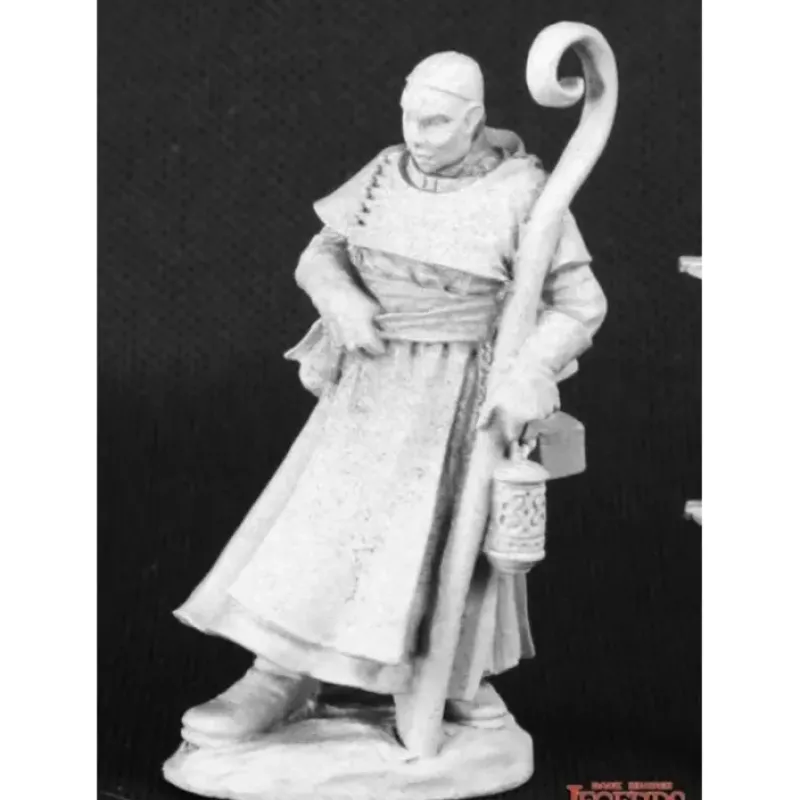 Miniature<Brother Roberto, Cleric: Dark Heaven Legends RPR 03561 - Miniature Marvels: Airplane Models & Painted Dice