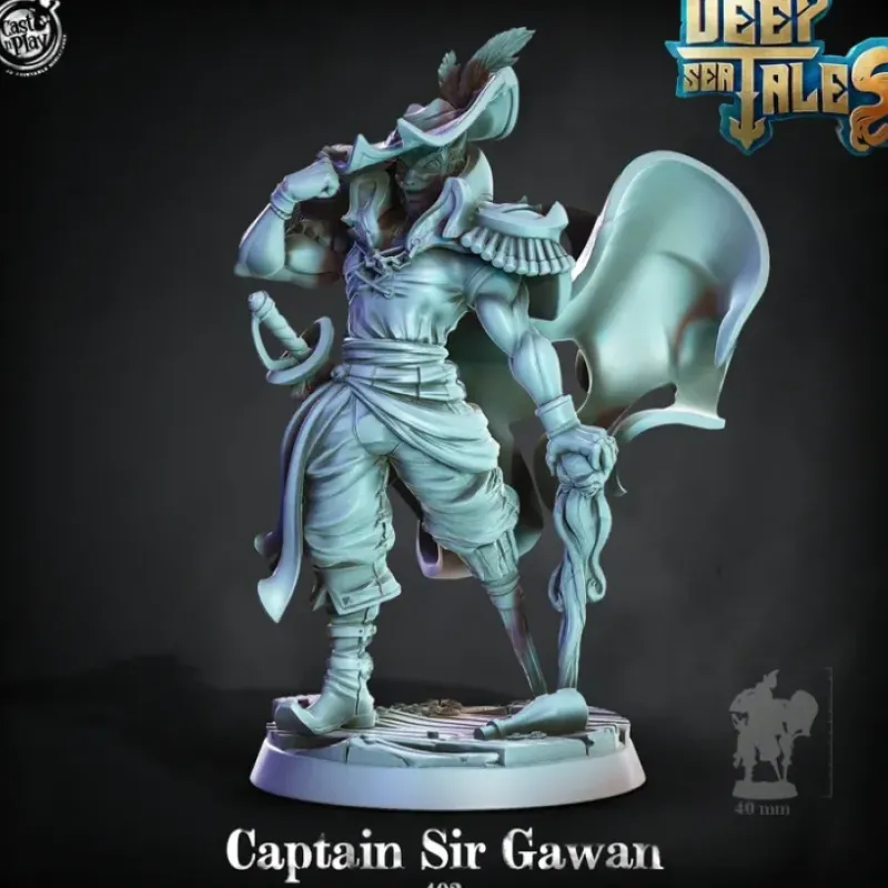 Miniature<Captain Sir Gawan - Miniature Marvels: Airplane Models & Painted Dice
