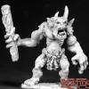Miniature<Cave Troll Champion: Dark Heaven Legends RPR 02488 - Miniature Marvels: Airplane Models & Painted Dice