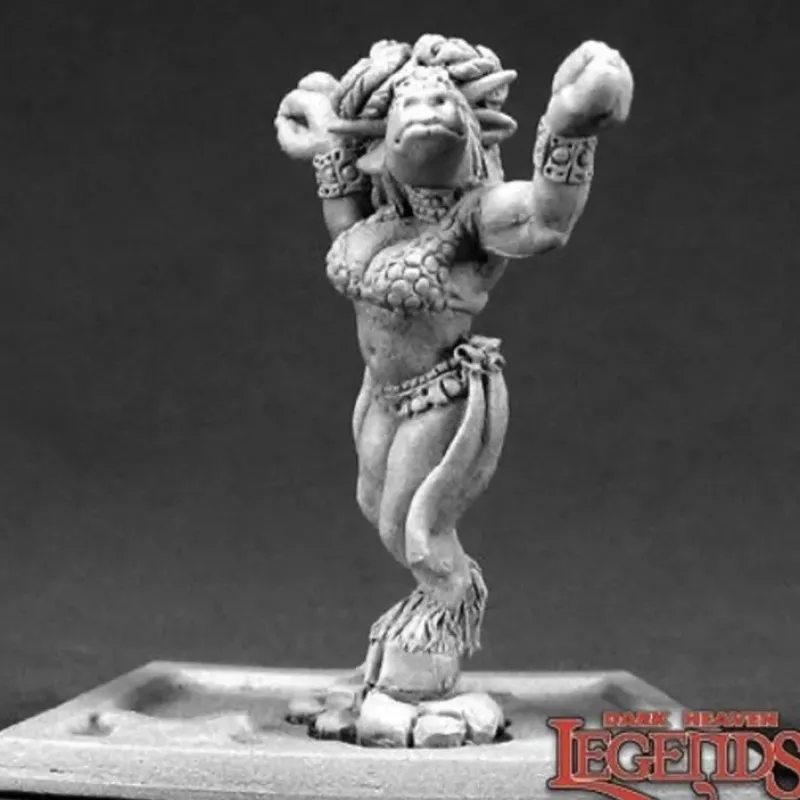 Miniature<Children Of The Zodiac - Taurus: : Dark Heaven Legends RPR 03320 - Miniature Marvels: Airplane Models & Painted Dice