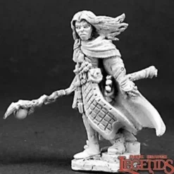 Miniature<Damar, Adventuring Mage: Dark Heaven Legends RPR 03095 - Miniature Marvels: Airplane Models & Painted Dice