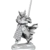 Miniature<D&D Frameworks: W01 - Dragonborn Paladin Male WZK 75022 - Miniature Marvels: Airplane Models & Painted Dice