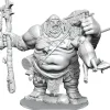 Miniature<D&D Frameworks: W01 - Hill Giant WZK 75049 - Miniature Marvels: Airplane Models & Painted Dice