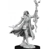Miniature<D&D Frameworks: W01 - Human Druid Female WZK 75012 - Miniature Marvels: Airplane Models & Painted Dice