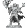 Miniature<D&D Frameworks: W01 - Human Warlock Male WZK 75039 - Miniature Marvels: Airplane Models & Painted Dice