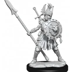 Miniature<D&D Frameworks: W01 - Human Fighter Female WZK 75025 - Miniature Marvels: Airplane Models & Painted Dice