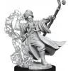 Miniature<D&D Frameworks: W01 - Human Wizard Male WZK 75030 - Miniature Marvels: Airplane Models & Painted Dice