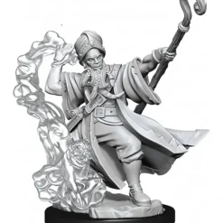 Miniature<D&D Frameworks: W01 - Human Wizard Male WZK 75030 - Miniature Marvels: Airplane Models & Painted Dice