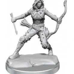 Miniature<D&D Frameworks: W01 - Human Rogue Female WZK 75038 - Miniature Marvels: Airplane Models & Painted Dice