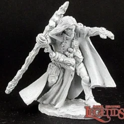 Miniature<Elquin, High Elf Adventurer: Dark Heaven Legends RPR 02974 - Miniature Marvels: Airplane Models & Painted Dice