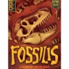 Shop All*Fossils - Miniature Marvels: Airplane Models & Painted Dice
