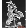 Miniature<Gossamer Air Sorceress: Dark Heaven Legends RPR 02562 - Miniature Marvels: Airplane Models & Painted Dice