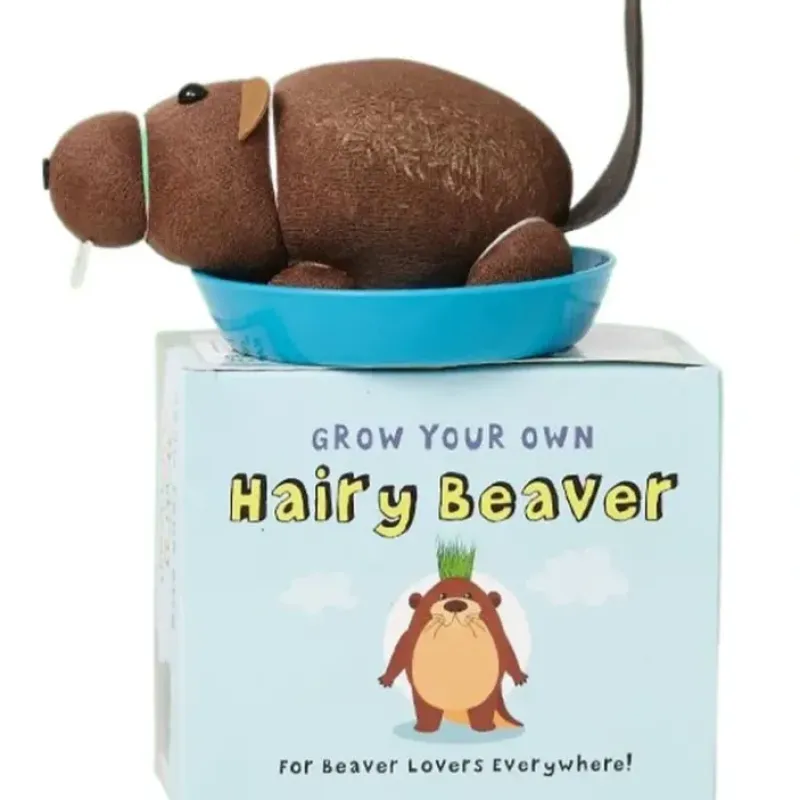 Egpull<Grow Your own HAIRY BEAVER Chia Pet Plant - Funny Gag Novelty Home Gift - Miniature Marvels: Airplane Models & Painted Dice