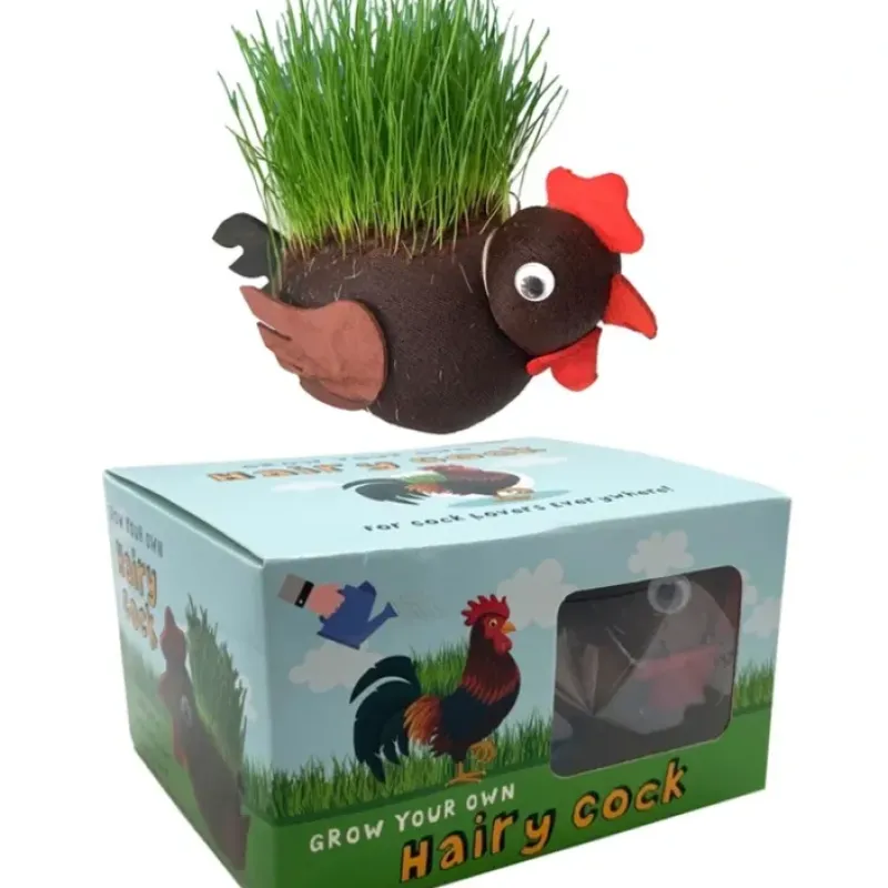 Egpull<Grow Your own HAIRY C#@K Willy Pecker Chia Pet Plant - Novelty Joke Gag Prank - Miniature Marvels: Airplane Models & Painted Dice