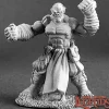 Miniature<Gungor, Half-Orc Monk: Dark Heaven Legends RPR 02926 - Miniature Marvels: Airplane Models & Painted Dice