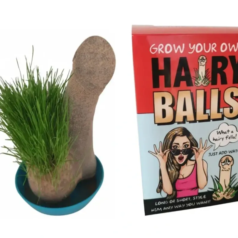 Egpull<HAIRY BALLS - Grow Your Willy Pecker Chia Pet Plant - Adult Gag Prank Joke - Miniature Marvels: Airplane Models & Painted Dice