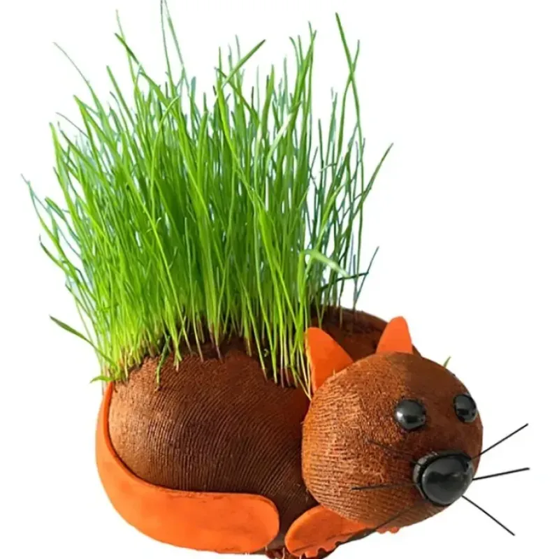 Egpull<HAIRY PUSSY CAT - Grow Your Chia Pet Plant - Fun Adult Gag Prank Joke Gift - Miniature Marvels: Airplane Models & Painted Dice