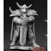 Miniature<Harstov, Irongrave Knight Lord: Dark Heaven Legends RPR 03414 - Miniature Marvels: Airplane Models & Painted Dice