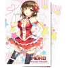 Accessories<Hatsune Miku: Digital Dreamland - Starlight Melody Meiko Small Deck Protector 60ct - Miniature Marvels: Airplane Models & Painted Dice