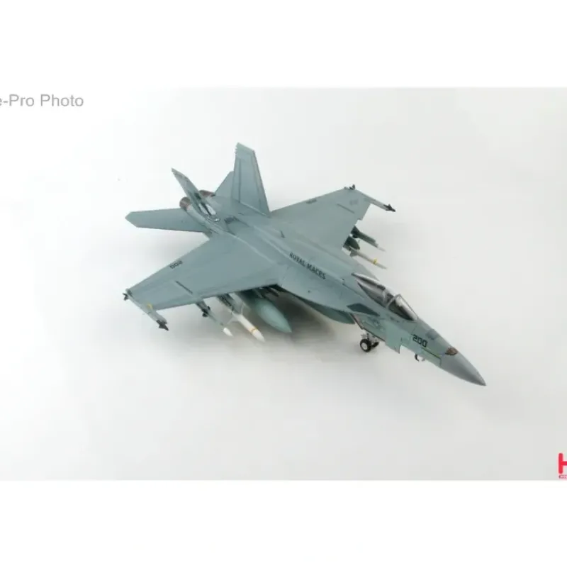 Airplane Model*Hobby Master 1:72 F/A-18E HA5116 - Miniature Marvels: Airplane Models & Painted Dice