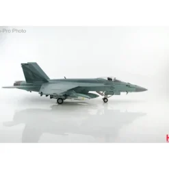 Airplane Model*Hobby Master 1:72 F/A-18E HA5115 - Miniature Marvels: Airplane Models & Painted Dice
