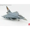 Airplane Model*Hobby Master 1:72 Typhoon HA6603 - Miniature Marvels: Airplane Models & Painted Dice