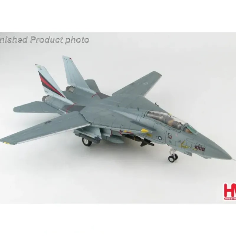 Airplane Model*Hobby Master F-14A Tomcat Grumman VF-154 1:72 HA5233 - Miniature Marvels: Airplane Models & Painted Dice