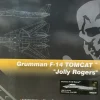 Airplane Model*Hobby Master Grumman F-14 Tomcat Jolly Rogers 1:72 HA5239 - Miniature Marvels: Airplane Models & Painted Dice