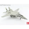 Airplane Model*Hobby Master HA5242 1:72 F-14A "Cdr. Snodgrass" - Miniature Marvels: Airplane Models & Painted Dice