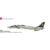 Airplane Model*Hobby Master HA5240 1:72 F-14A Tomcat "Jolly Rogers" - Miniature Marvels: Airplane Models & Painted Dice
