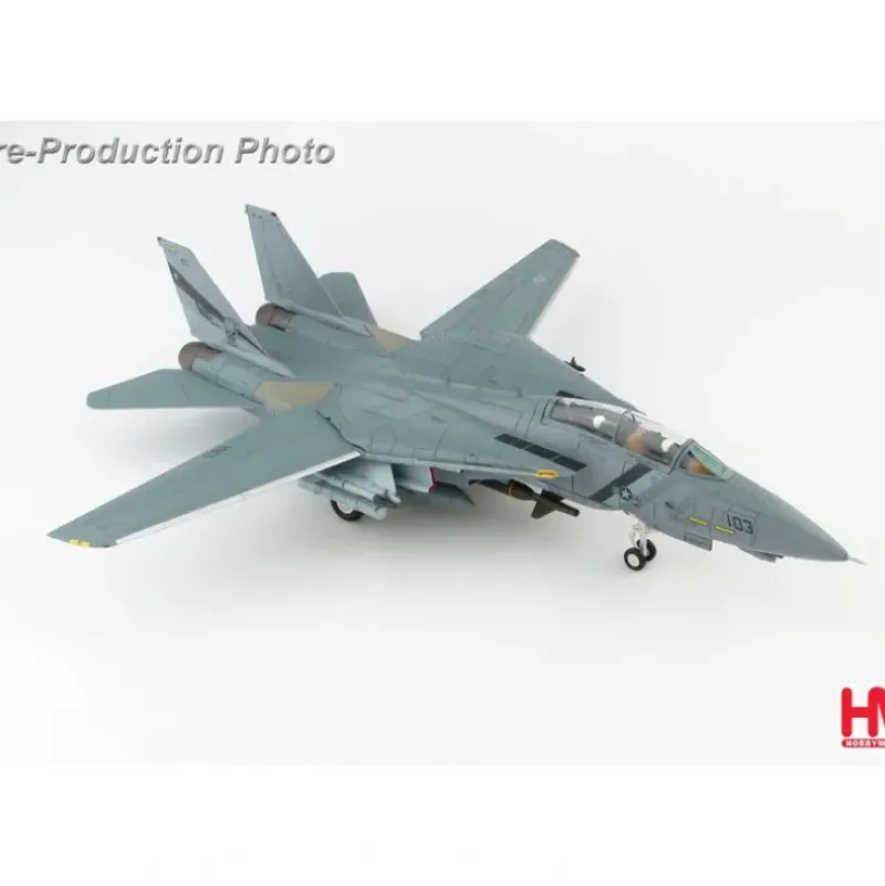 Airplane Model*Hobby Master HA5227 1:72 F-14D Tomcat 164350, VF-2, 2003 "OIF" - Miniature Marvels: Airplane Models & Painted Dice