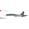 Airplane Model*Hobby Master HA6016 1:72 J-11BG Multi-Role Fighter - Miniature Marvels: Airplane Models & Painted Dice