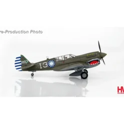 Airplane Model*Hobby Master HA5501 1:72 P-40N Wang Kuang Fu, 7th FS/3rd FG, Chinese Air Force, Laohokow, China, January 1945 - Miniature Marvels: Airplane Models & Painted Dice