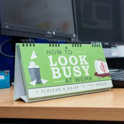 Egpull<How to "LOOK BUSY" at Work - Slacker's Guide - Funny Desk Spiral Flip Book Signs - Miniature Marvels: Airplane Models & Painted Dice