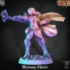 Miniature<Human Cleric - Miniature Marvels: Airplane Models & Painted Dice