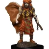 Miniature<Human Druid Male: Premium Figures - D&D Icons of the Realms WZK 93031 - Miniature Marvels: Airplane Models & Painted Dice