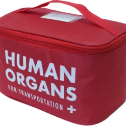 Egpull<Human Organs Lunch Bag - Insulated School Cooler Gag Joke - E.M.T Medical Prop - Miniature Marvels: Airplane Models & Painted Dice